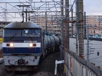JR貨物 EF210形 EF210-143 鉄道フォト・写真 by 浜五井の撮影記録さん 八丁畷駅 (JR)：2021年12月14日16時ごろ