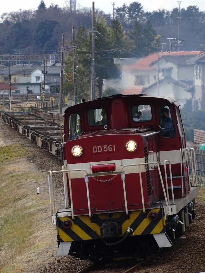 福島臨海鉄道DD56形ディーゼル機関車 DD561 泉駅 (JR) 鉄道フォト