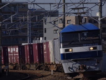 JR貨物 EF210形 EF210-129 鉄道フォト・写真 by 浜五井の撮影記録さん 八丁畷駅 (JR)：2021年12月15日11時ごろ