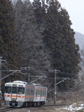 JR東海 クハ312形 クハ312-1312 鉄道フォト・写真 by 浜五井の撮影記録さん 大桑駅 (長野県)：2022年01月07日12時ごろ