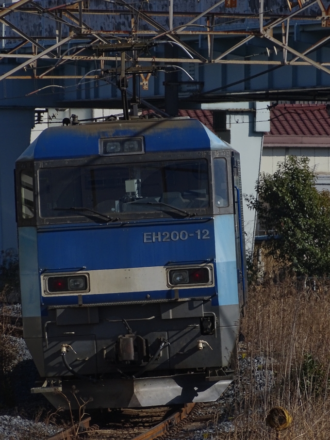 鉄道フォト・写真：JR貨物EH200形電気機関車 EH200-12 浜川崎駅 鉄道フォト・写真 by 浜五井の撮影記録さん - 撮影日 2022/01/16 12:42