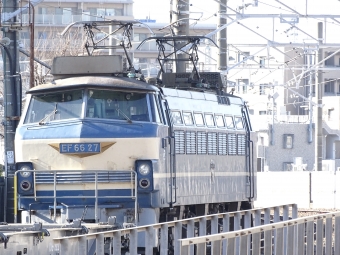 JR貨物 EF66形 EF66 27 鉄道フォト・写真 by 浜五井の撮影記録さん 八丁畷駅 (JR)：2022年01月16日14時ごろ