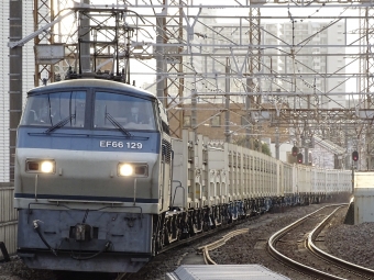 JR貨物 国鉄EF66形電気機関車 EF66-129 鉄道フォト・写真 by 浜五井の撮影記録さん 八丁畷駅 (JR)：2022年01月29日07時ごろ