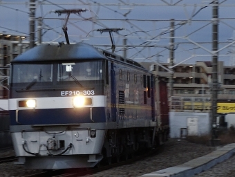 JR貨物 EF210形 EF210-303 鉄道フォト・写真 by 浜五井の撮影記録さん 八丁畷駅 (JR)：2022年01月29日06時ごろ