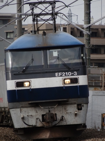 JR貨物 EF210形 EF210-3 鉄道フォト・写真 by 浜五井の撮影記録さん 八丁畷駅 (JR)：2022年02月04日11時ごろ