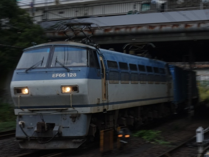 鉄道フォト・写真：JR貨物 国鉄EF66形電気機関車 EF66-128 浜川崎駅 鉄道フォト・写真 by 浜五井の撮影記録さん - 撮影日 2021/10/22 09:30