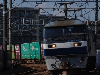 JR貨物 EF210形 EF210-151 鉄道フォト・写真 by 浜五井の撮影記録さん 八丁畷駅 (JR)：2021年11月03日11時ごろ
