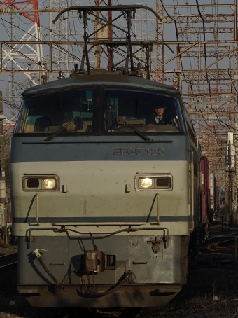 JR貨物 国鉄EF66形電気機関車 EF66-125 鉄道フォト・写真 by 浜五井さん 小田栄駅：2022年03月06日06時ごろ