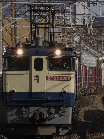 JR貨物 国鉄EF65形電気機関車 EF65-2089 鉄道フォト・写真 by 浜五井の撮影記録さん 八丁畷駅 (JR)：2022年03月05日15時ごろ