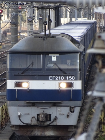 JR貨物 EF210形 EF210-150 鉄道フォト・写真 by 浜五井の撮影記録さん 鶴見駅：2022年03月05日07時ごろ