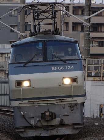 JR貨物 国鉄EF66形電気機関車 EF66-124 鉄道フォト・写真 by 浜五井の撮影記録さん 八丁畷駅 (JR)：2022年03月05日06時ごろ