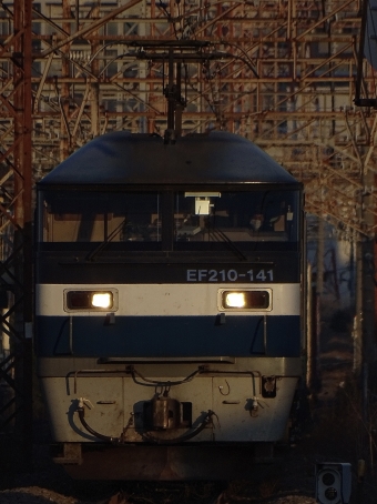 JR貨物 EF210形 EF210-141 鉄道フォト・写真 by 浜五井さん 小田栄駅：2022年03月06日06時ごろ
