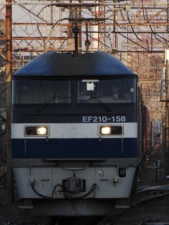 JR貨物 EF210形 EF210-158 鉄道フォト・写真 by 浜五井さん 小田栄駅：2022年03月06日06時ごろ