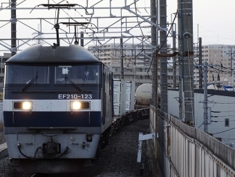 JR貨物 EF210形 EF210-123 鉄道フォト・写真 by 浜五井の撮影記録さん 八丁畷駅 (JR)：2022年03月05日17時ごろ