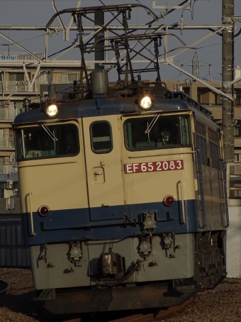 JR貨物 国鉄EF65形電気機関車 EF65-2083 鉄道フォト・写真 by 浜五井の撮影記録さん 八丁畷駅 (JR)：2022年04月09日06時ごろ