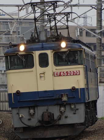 JR貨物 国鉄EF65形電気機関車 EF65-2070 鉄道フォト・写真 by 浜五井の撮影記録さん 八丁畷駅 (JR)：2022年04月26日06時ごろ