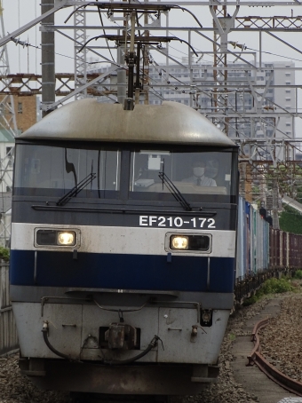 JR貨物 EF210形 EF210-172 鉄道フォト・写真 by 浜五井の撮影記録さん 八丁畷駅 (JR)：2022年04月24日10時ごろ