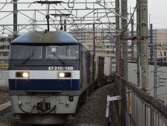 JR貨物 EF210形 EF210-168 鉄道フォト・写真 by 浜五井の撮影記録さん 八丁畷駅 (JR)：2022年04月26日06時ごろ