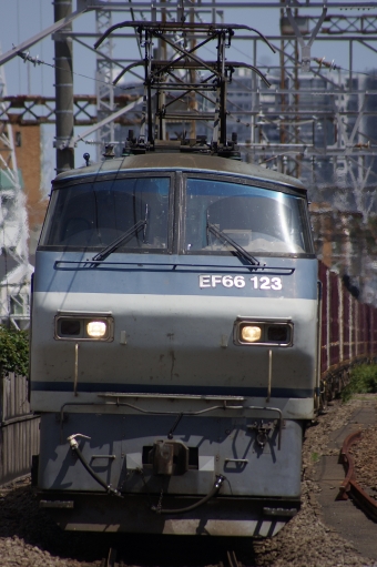JR貨物 国鉄EF66形電気機関車 EF66-123 鉄道フォト・写真 by 浜五井の撮影記録さん 八丁畷駅 (JR)：2022年05月28日13時ごろ