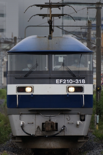 JR貨物 EF210形 EF210-318 鉄道フォト・写真 by 浜五井さん 新川崎駅：2022年06月05日15時ごろ