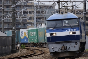JR貨物 EF210形 EF210-16 鉄道フォト・写真 by 浜五井の撮影記録さん 八丁畷駅 (JR)：2022年06月05日12時ごろ