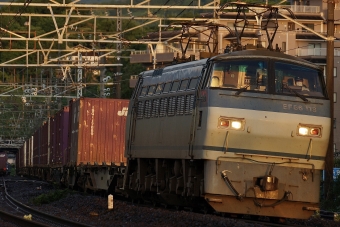 JR貨物 国鉄EF66形電気機関車 EF66-118 鉄道フォト・写真 by 浜五井さん 真鶴駅：2022年06月19日04時ごろ