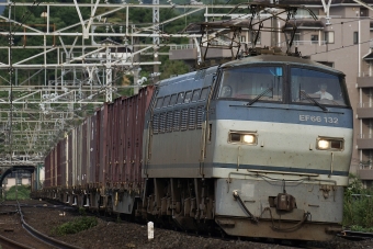 JR貨物 国鉄EF66形電気機関車 EF66-132 鉄道フォト・写真 by 浜五井さん 真鶴駅：2022年06月19日05時ごろ