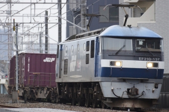 JR貨物 EF210形 EF210-137 鉄道フォト・写真 by 浜五井の撮影記録さん 八丁畷駅 (JR)：2022年06月21日18時ごろ