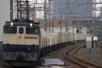 JR貨物 国鉄EF65形電気機関車 EF65-2086 鉄道フォト・写真 by 浜五井さん 八丁畷駅 (JR)：2022年07月12日07時ごろ