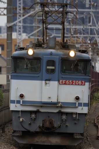 JR貨物 国鉄EF65形電気機関車 EF65-2063 鉄道フォト・写真 by 浜五井の撮影記録さん 八丁畷駅 (JR)：2022年09月22日15時ごろ