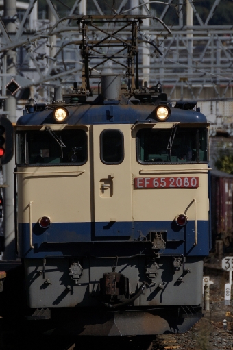 JR貨物 国鉄EF65形電気機関車 EF65-2080 鉄道フォト・写真 by 浜五井の撮影記録さん 京都駅 (JR)：2022年10月20日13時ごろ