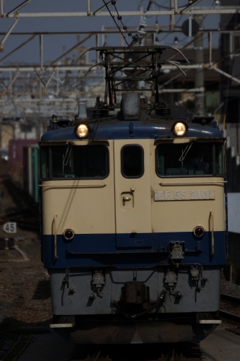 JR貨物 国鉄EF65形電気機関車 EF65-2101 鉄道フォト・写真 by 浜五井の撮影記録さん 西船橋駅 (JR)：2022年11月13日11時ごろ
