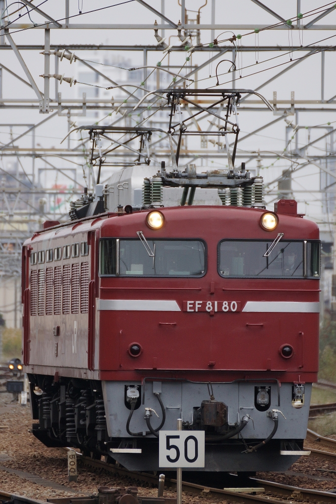 JR東日本 国鉄EF81形電気機関車 EF81-80 新小岩駅 鉄道フォト・写真 by 