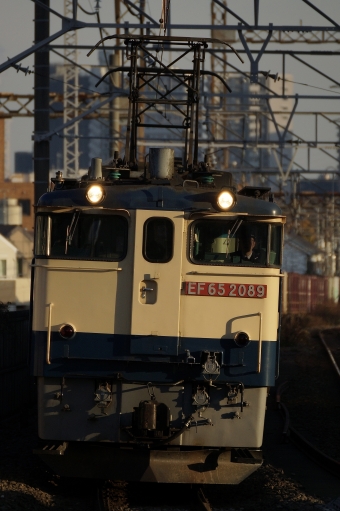 JR貨物 国鉄EF65形電気機関車 EF65-2089 鉄道フォト・写真 by 浜五井の撮影記録さん 八丁畷駅 (JR)：2022年12月10日15時ごろ