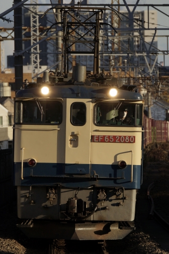 JR貨物 国鉄EF65形電気機関車 EF65-2080 鉄道フォト・写真 by 浜五井の撮影記録さん 八丁畷駅 (JR)：2022年12月12日15時ごろ