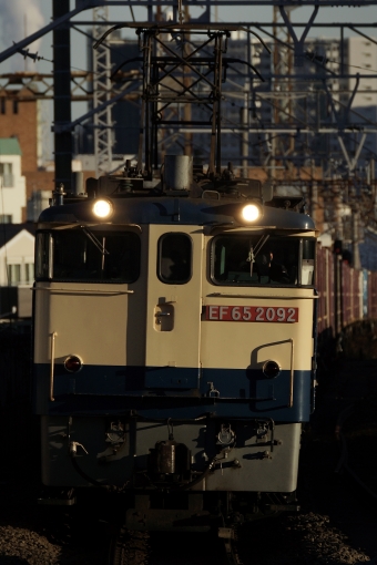 JR貨物 国鉄EF65形電気機関車 EF65-2092 鉄道フォト・写真 by 浜五井の撮影記録さん 八丁畷駅 (JR)：2022年12月20日15時ごろ
