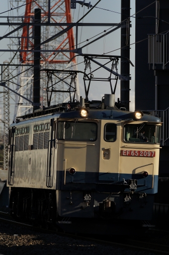 JR貨物 国鉄EF65形電気機関車 EF65-2097 鉄道フォト・写真 by 浜五井の撮影記録さん 八丁畷駅 (JR)：2022年12月20日14時ごろ