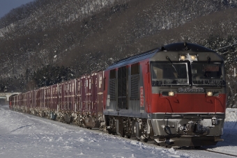 DF200-110 鉄道フォト・写真