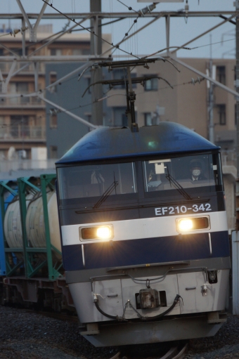 EF210-342 鉄道フォト・写真