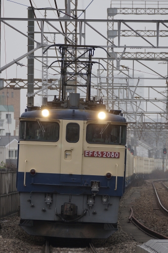 JR貨物 国鉄EF65形電気機関車 EF65-2080 鉄道フォト・写真 by 浜五井さん 八丁畷駅 (JR)：2023年03月23日07時ごろ