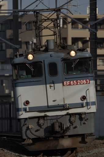 JR貨物 国鉄EF65形電気機関車 EF65 2063 鉄道フォト・写真 by 浜五井の撮影記録さん 八丁畷駅 (JR)：2023年05月27日06時ごろ