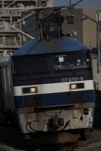 JR貨物 EF210形 EF210-5 鉄道フォト・写真 by 浜五井の撮影記録さん 八丁畷駅 (JR)：2023年05月27日06時ごろ