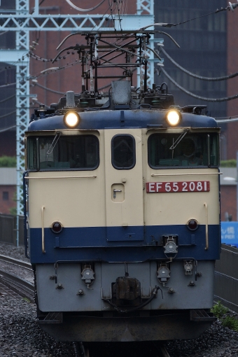 JR貨物 国鉄EF65形電気機関車 EF65 2081 鉄道フォト・写真 by 浜五井の撮影記録さん 関内駅 (JR)：2023年06月11日08時ごろ