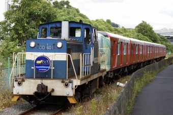 DD601 鉄道フォト・写真