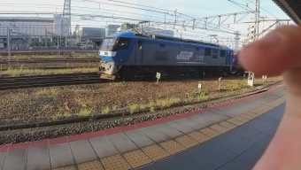 JR貨物 EF210形 EF210-137 鉄道フォト・写真 by てつがいさん 京都駅 (JR)：2022年09月18日06時ごろ