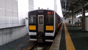 JR東日本 鉄道フォト・写真 by kamtakさん 水戸駅 (JR)：2016年12月29日09時ごろ
