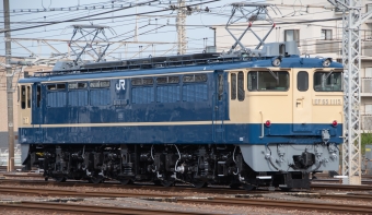 JR東日本 国鉄EF65形電気機関車 EF65-1115 鉄道フォト・写真 by 韶七さん 新小岩駅：2021年03月17日15時ごろ