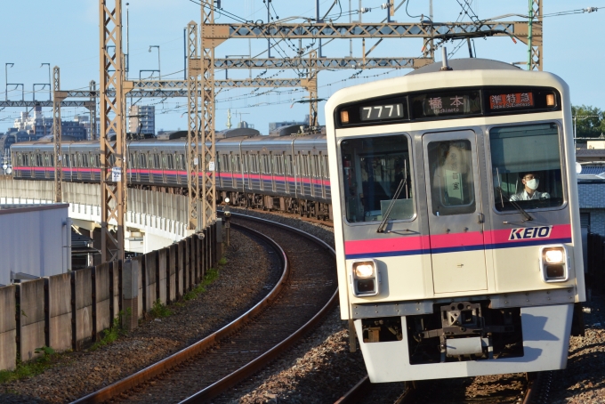 鉄道フォト・写真：京王電鉄 京王7000系電車 7771 京王稲田堤駅 鉄道フォト・写真 by 天の気まぐれさん - 撮影日 2021/07/18 17:49