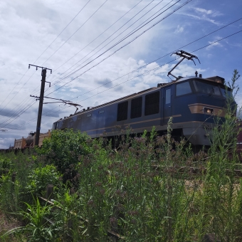 JR貨物 EF510形 EF510-514 鉄道フォト・写真 by フジさん ：2021年07月18日14時ごろ