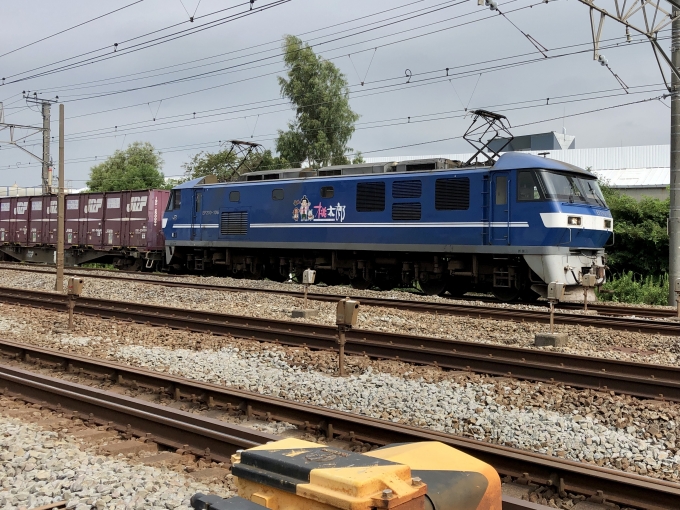 JR貨物EF210形電気機関車 EF210-106 茅ケ崎駅 鉄道フォト・写真 by